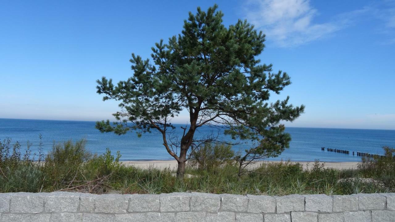 Czarmorza Pokoje Goscinne Mielno  Esterno foto